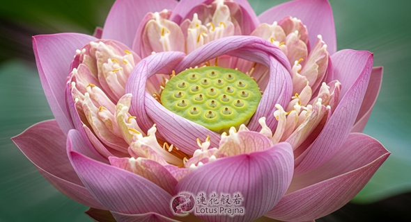 吉祥符碼・深度解析